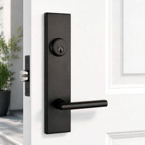 Minimalist Long Panel Integrated Entrance Door Lock, Matte Black Modern Hinged Door with Lock Cylinder and Handle